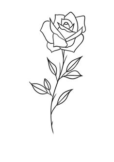 the outline of a rose on a white background