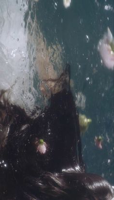 the back end of a dog swimming in water with flowers on it's side