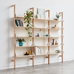 a wooden shelf filled with lots of books and potted plants next to a white wall