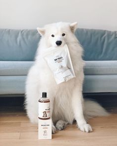 a white dog sitting on the floor next to a bottle of shampoo and an empty bag