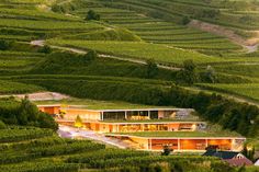 an aerial view of a house in the middle of a vineyard