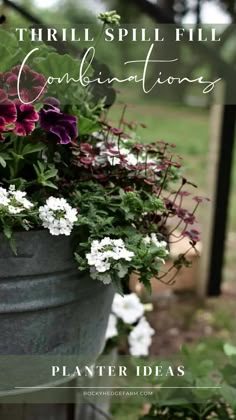 a planter filled with purple and white flowers