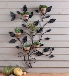 a metal planter with potted plants on it is mounted to the side of a wall