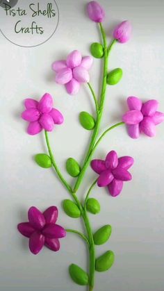 pink and green flowers on a white background with the words fiesta shells crafts above it