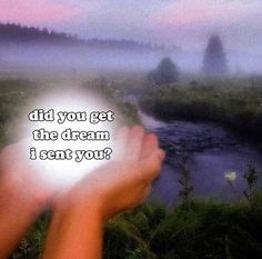 someone holding their hand up in front of a foggy landscape with the words did you get the dream i sent you?