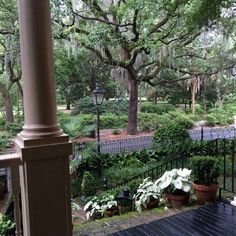 a porch with potted plants and trees in the background