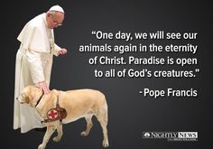 the pope is petting his dog in front of an image with a quote from pope francis