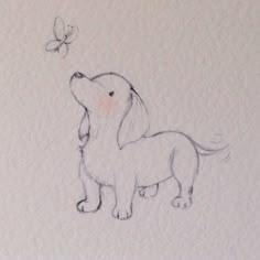 a drawing of a dog looking up at a butterfly