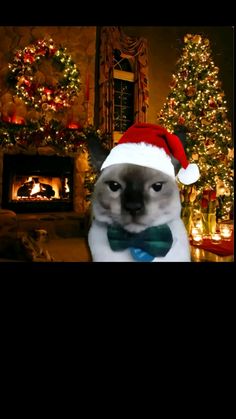 a cat wearing a santa hat and holding a bow tie in front of a christmas tree