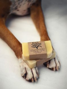 a brown and white dog laying on top of a white floor next to a bar of soap