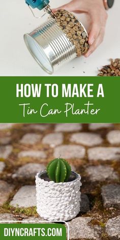 how to make a tin can planter for succulents and cacti