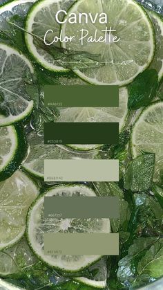 aestheticcolour greenaestheticcolour canvacolour Aesthetic Colors Palettes, 3 Colour Palette, Aesthetic Colour Palette, Aesthetic Color Palettes, Canva Color Palette, Canva Colors, Style Tips And Tricks, Flat Color Palette, Green Color Palette