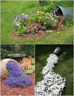 several different types of flowers in the garden