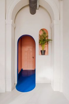 an archway with a potted plant in it and a pink door on the wall