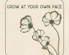 an old poster with three flowers growing out of it's center and the words grow at your own pace