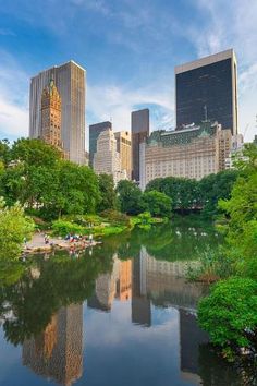 the city is surrounded by tall buildings and green trees, with a pond in the foreground