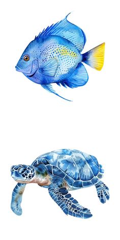 two fish and a turtle are depicted in this image, one is blue the other is yellow