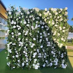 white flowers are growing on the side of a building