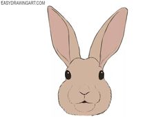 a rabbit's face with the words easy drawing art on it and an image of a