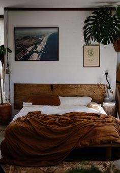 a bed sitting in a bedroom next to a window with plants on the wall above it