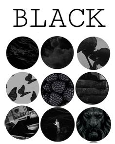 black is the new black poster with images of different animals and people in circles around them