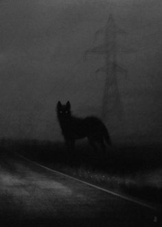 a black and white photo of a wolf standing in the middle of a road at night