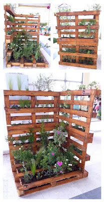 several different types of planters made out of wooden pallets with plants growing in them