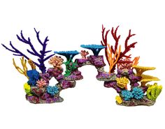 two fish tanks with corals and seaweed in them on a white background for decoration