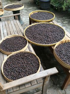 several baskets filled with black beans sitting on top of a wooden table next to plants