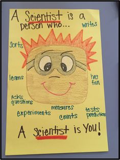 a poster with an image of a cartoon character on it that says, a scientist is a person who writes