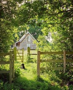 a dog is sitting in the grass near a fence and house with a wooden door