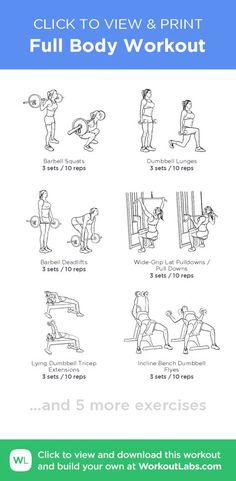 the full body workout guide for beginners