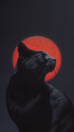 a black cat sitting in front of a red moon