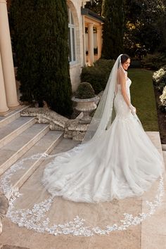 Sophia Tolli Accessories One Size / Ivory Sophia Tolli: ST614VEIL Soft Tulle Veil, Wedding Dresses Boho, Floral Lace Wedding Dress, Sophia Tolli, Tulle Veil, Most Beautiful Wedding, Most Beautiful Wedding Dresses, Wedding Veil Accessories, Tulle Veils