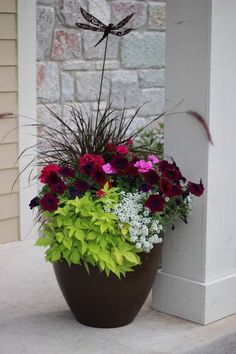 a potted plant with purple and red flowers in it