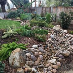 a garden with rocks and plants in it