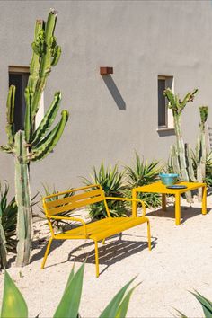 Photo of the Star Bench and Lounge table in the Curry Yellow finish on a desert backyard with cacti Yellow Outdoor Furniture, Bench And Table, Mexican Furniture, Outdoor Patio Garden, Yellow Furniture, Modern Outdoor Patio, Outdoor Furniture Collections, Comfort Design, Outdoor Oasis