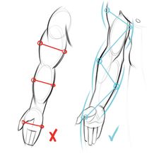 how to draw the upper arm and lower arm muscles with this step by step drawing guide