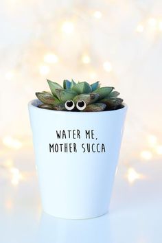 a plant with googly eyes sitting in a white cup that says water me, mother succa