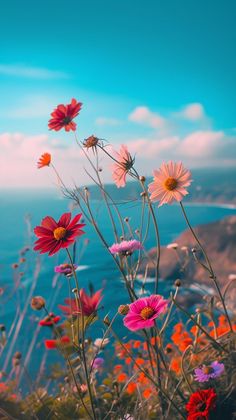 colorful flowers are growing on the side of a cliff overlooking the ocean and blue sky