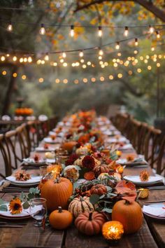 a long wooden table topped with lots of pumpkins