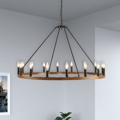 a chandelier hanging from the ceiling in a room with a potted plant