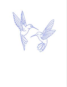 two birds flying next to each other on a white background with blue lines in the middle