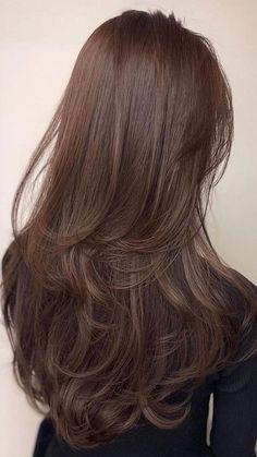 Brown Layer Hair, Layers And Color Hair, Brown Hair Colors And Styles, Brown Hair Colors Layers, Curtain Band Layered Hair, Brazilian Brown Hair Color, Layers On Thinner Long Hair, Warmer Brown Hair, Cute Layers Haircuts