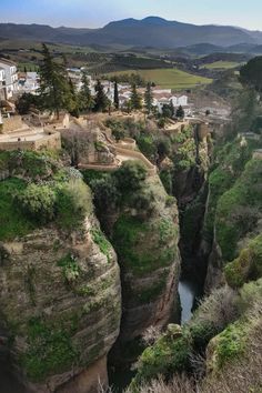 a river flowing through a canyon surrounded by tall rocks and greenery in the foreground