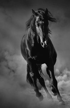 a black horse is running through the clouds