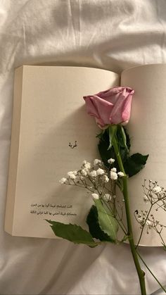 an open book with a single pink rose on the page and baby's breath