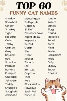 the top 60 funny cat names for cats and kittens with pictures on them, including one