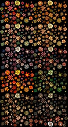 many different colored flowers are arranged in the shape of a flower pattern on a black background