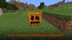 an image of a pumpkin in the middle of a minecraft field with text that reads, how to cave a pumpkin in minecraft